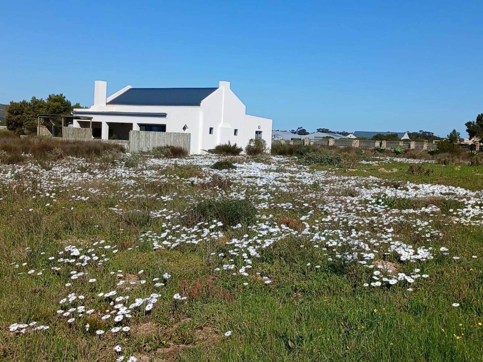 Camelot Cottages Langebaan Eksteriør billede