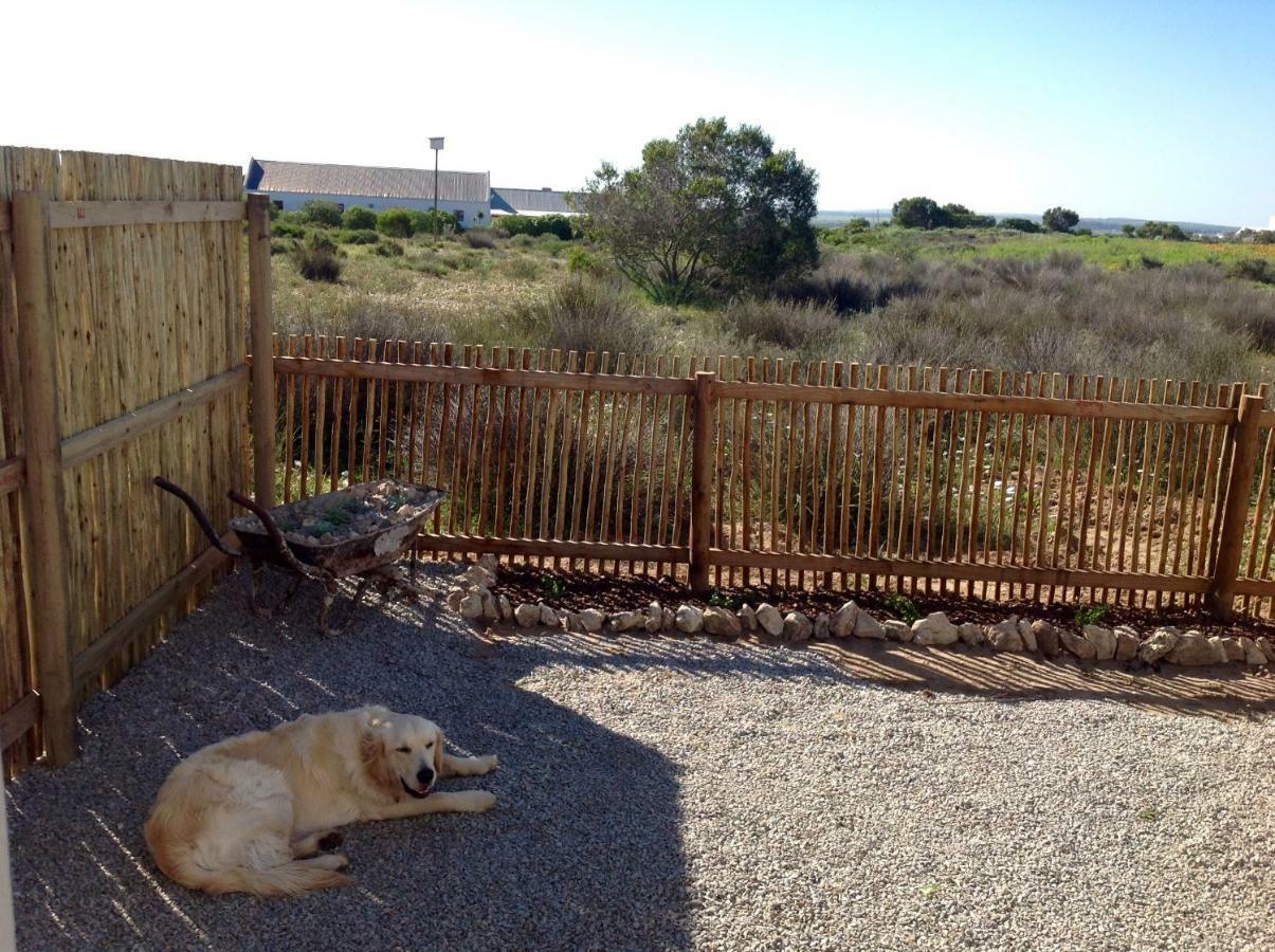 Camelot Cottages Langebaan Eksteriør billede